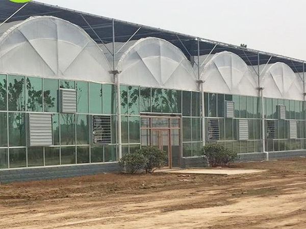 連棟雙拱雙膜溫室