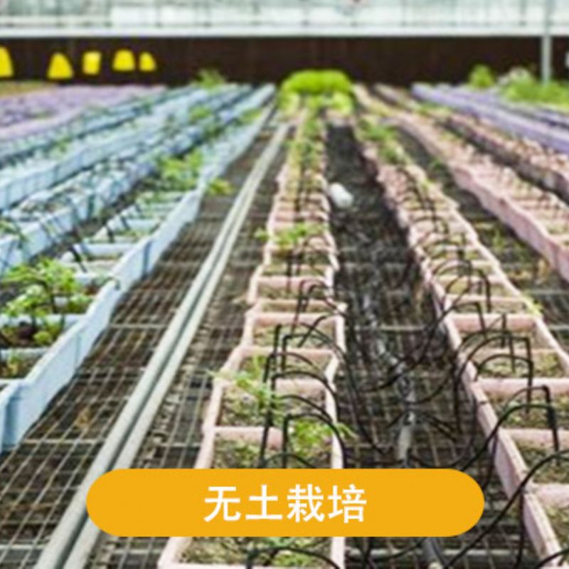 無(wú)土栽培